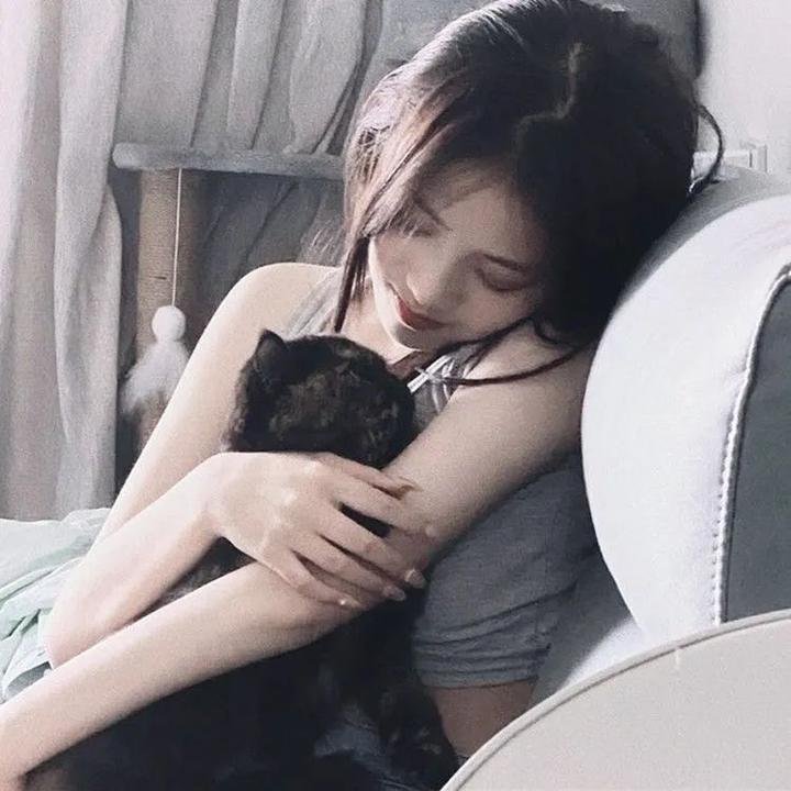 美国派2